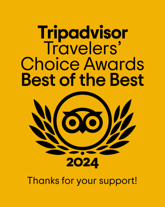 TripAdvisor Travelers&#x2019; Choice
