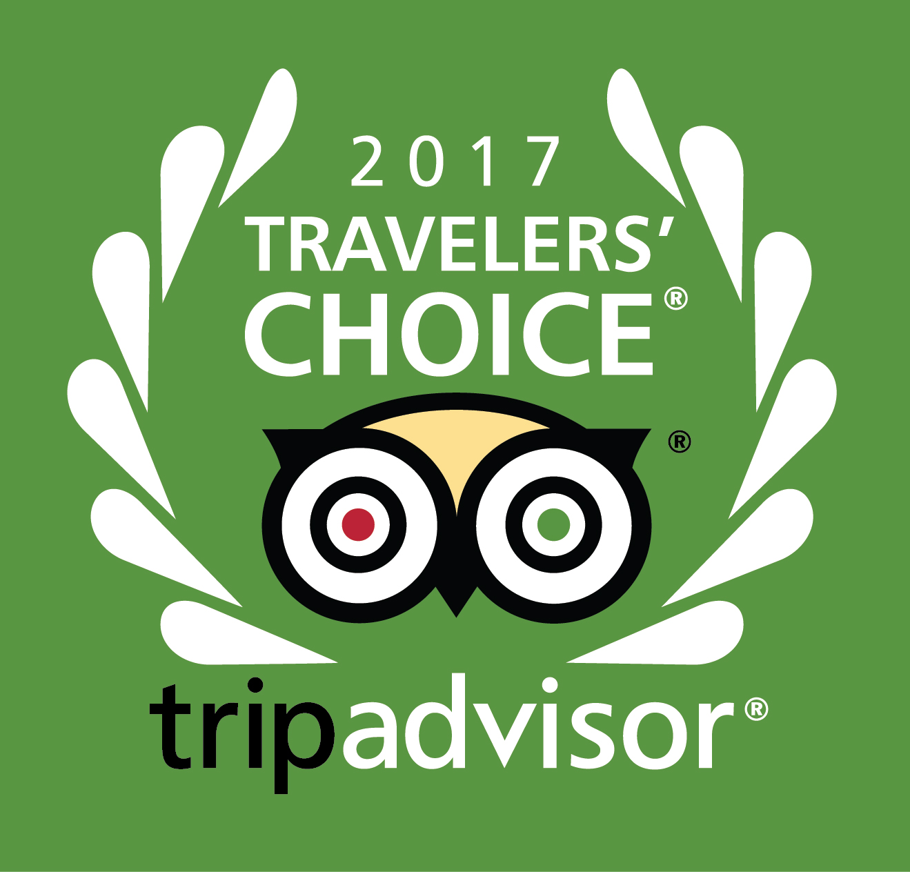 TripAdvisor Travellers&#x2019; Choice Awards, 2017